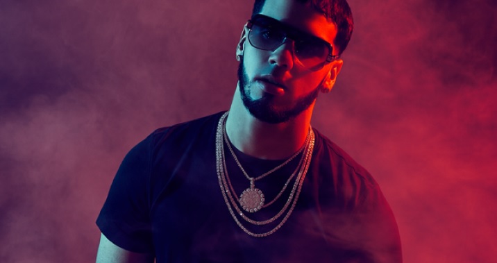 what is anuel's net worth?